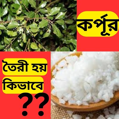 নিত্য পূজা সামগ্রী হিসেবে  সবার বড়িতেই কর্পূর থাকে। কিন্তু কিভাবে এটি তৈরী করা হয় আসুন জেনে নেওয়া যাক