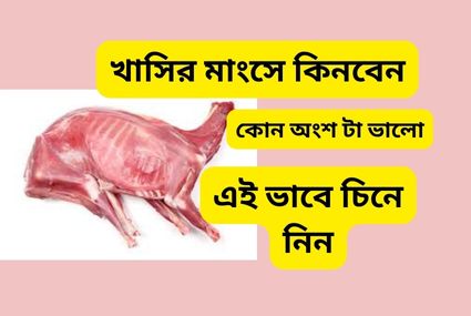 ছুটিতে বাড়িতে খাসির মাংসের ঝোল করবেন ভাবছেন? অথচ হতে সময় কম। তাহলে দেখে নিন কীরকম মাংস নিলে চট জলদি রান্না করে ফেলতে পারবেন।