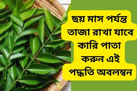 সুখবর ! ছয় মাস পর্যন্ত তাজা রাখা যাবে কারি পাতা করুন এই পদ্ধতি অবলম্বন