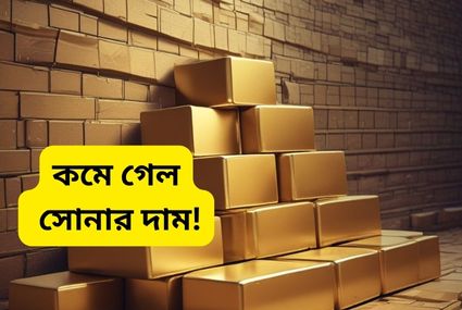 শীঘ্রই সোনা ও রুপার দাম কমতে পারে । নেপথ্যে রয়েছে কি কারণ আসুন জেনে নিন এক নজরে