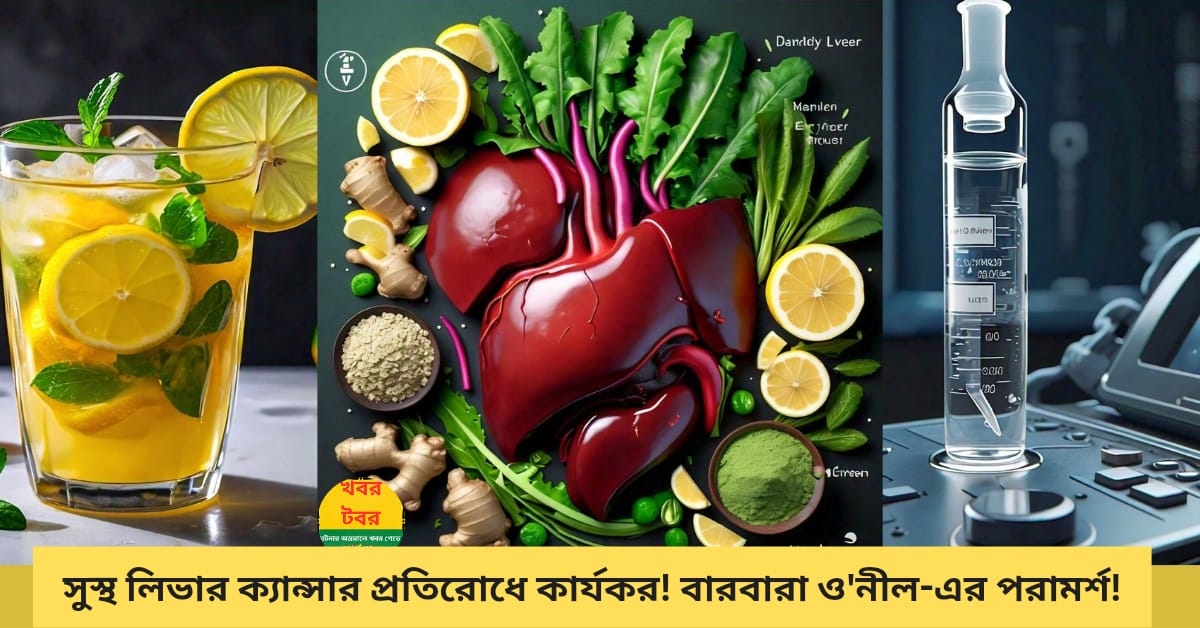 সুস্থ লিভার ক্যান্সার প্রতিরোধে কার্যকর! বারবারা ও’নীল-এর পরামর্শ!